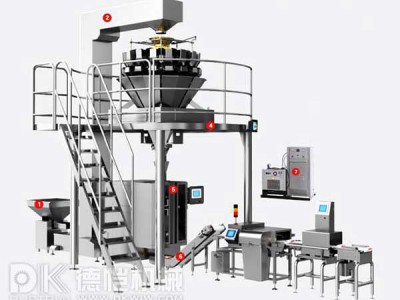 自動(dòng)包裝機(jī)-稱重包裝系統(tǒng)